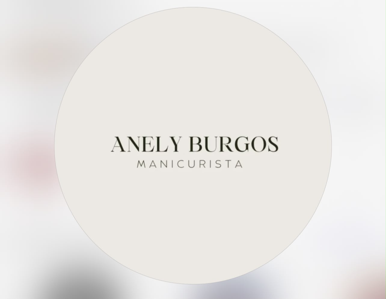 Logo de Anely Burgos
